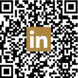 DL Holdings on LinkedIn
