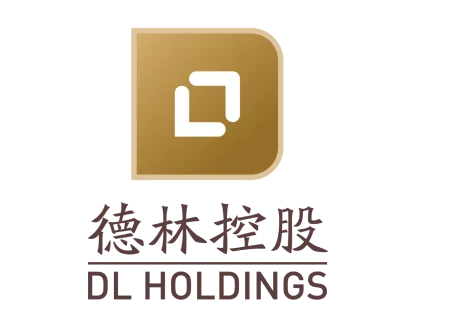 DL Holdings Group