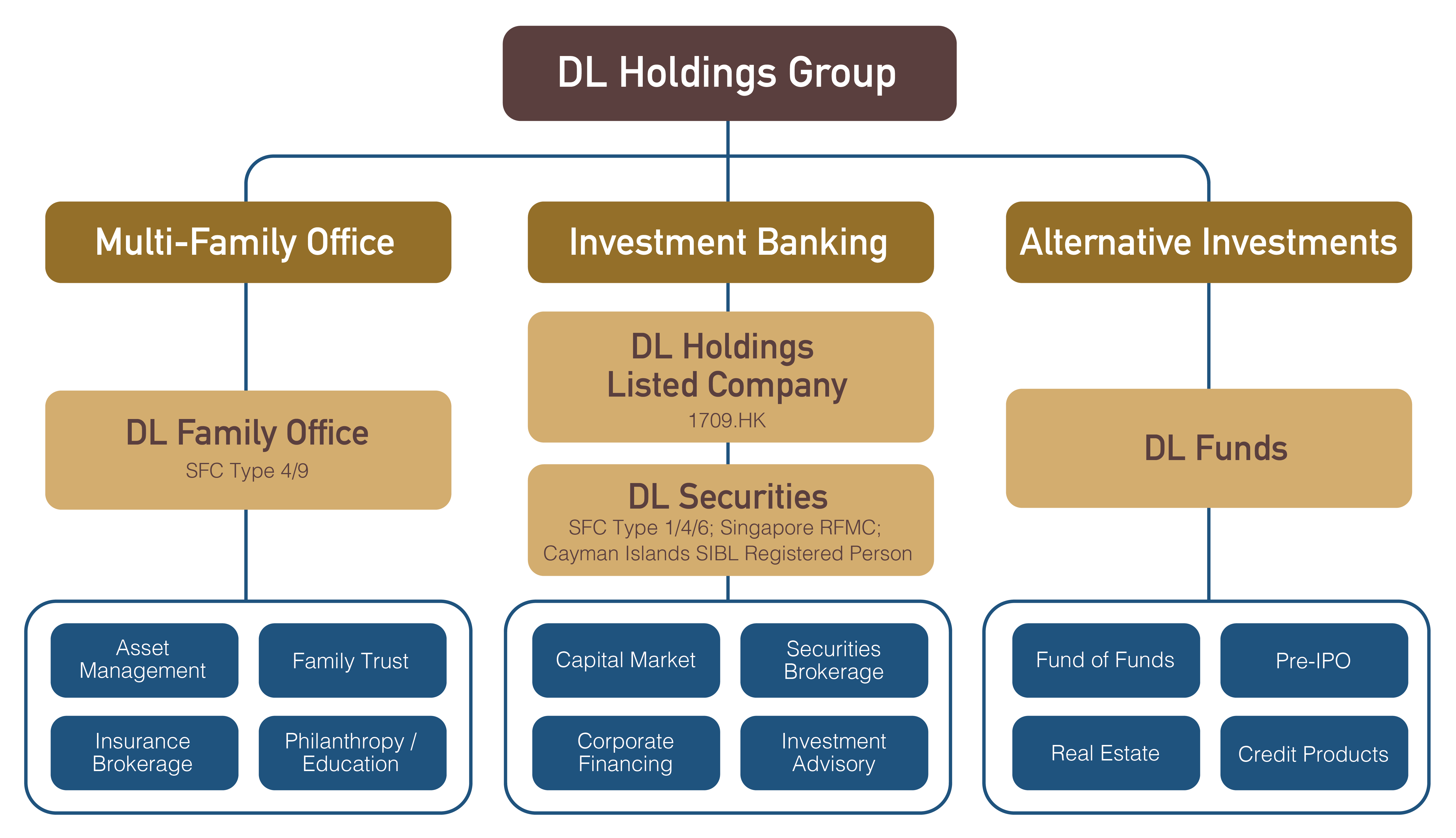 Overview – DL Holdings